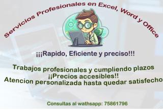 Se realizan trabajos en word y excel Foto