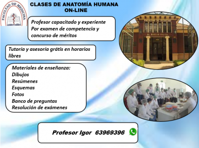 CLASES DE ANATOMÍA HUMANA Foto