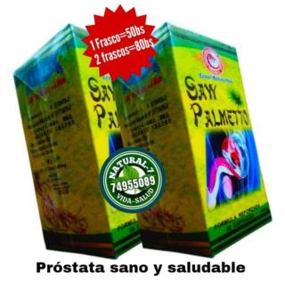 Saw Palmetto Foto