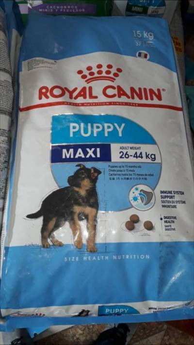royal canin maxi puppy 15kg Foto