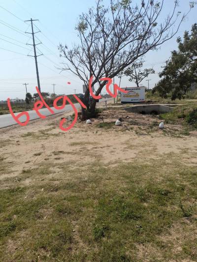lote de remate sobre la carretera princi Foto