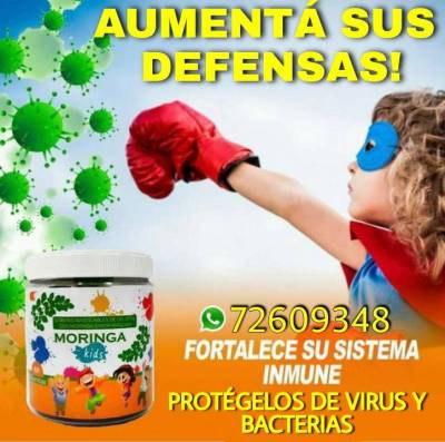 MORINGA  para prevenir virus y bacterias Foto