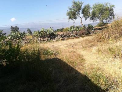 Lote En Venta Foto
