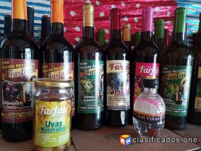 Distribución de vinos y singanis tarijeñ Foto