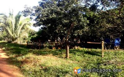 EN CONCEPCIÓN LA CHIQUITANÍA Foto