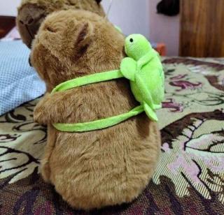 Peluche de capibara con mochilita de tortuga Foto