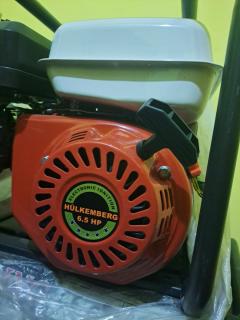 Motobomba (Estado Nuevo) Foto