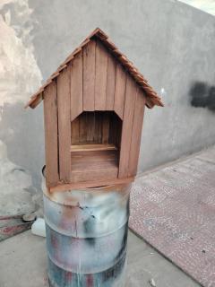 casa de perrito Foto