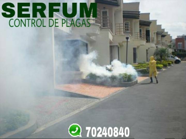 Servicio de fumigación plagas en Santa Cruz de la | clasificados.one Bolivia