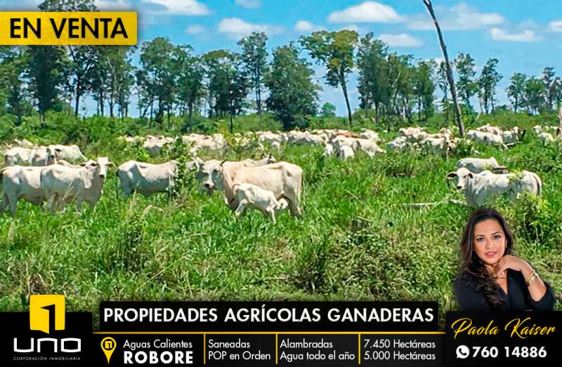 PROPIEDAD AGRICOLA GANADERA EN VENTA EN SANTA CRUZ Foto