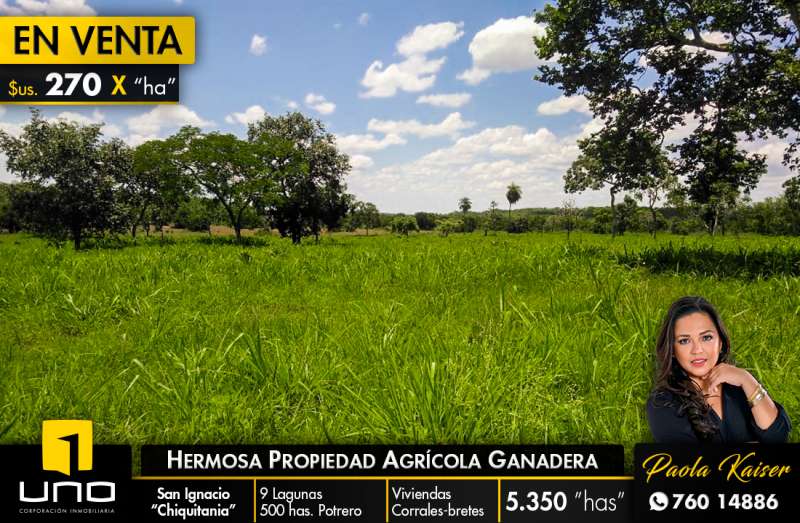 PROPIEDAD AGRÍCOLA GANADERA EN VENTA SAN IGNACIO DE VELASCO Foto