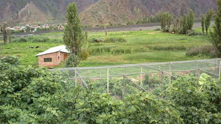 Venta de CASA DE CAMPO en La Paz clasificados.one Bolivia